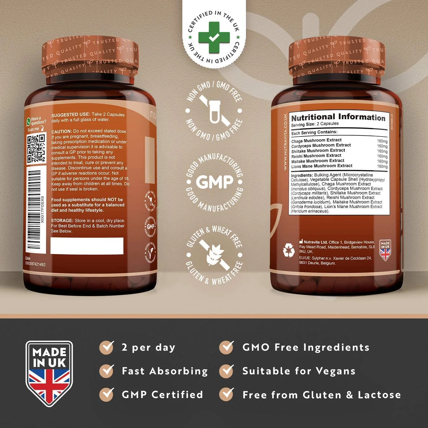 Mushroom Superblend - Image 4