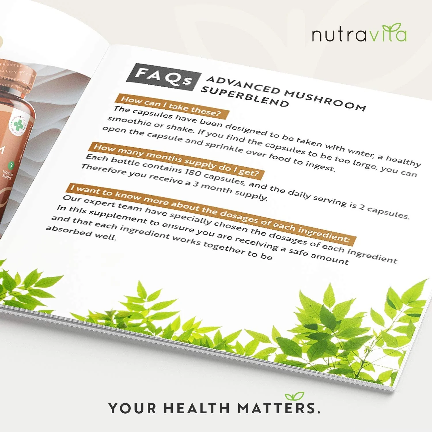 Mushroom Superblend - Image 5