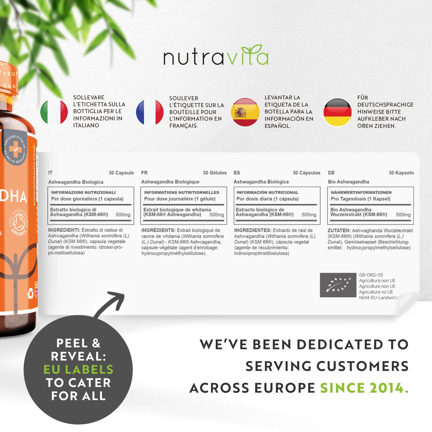 Organic Ashwagandha KSM-66 - Image 7