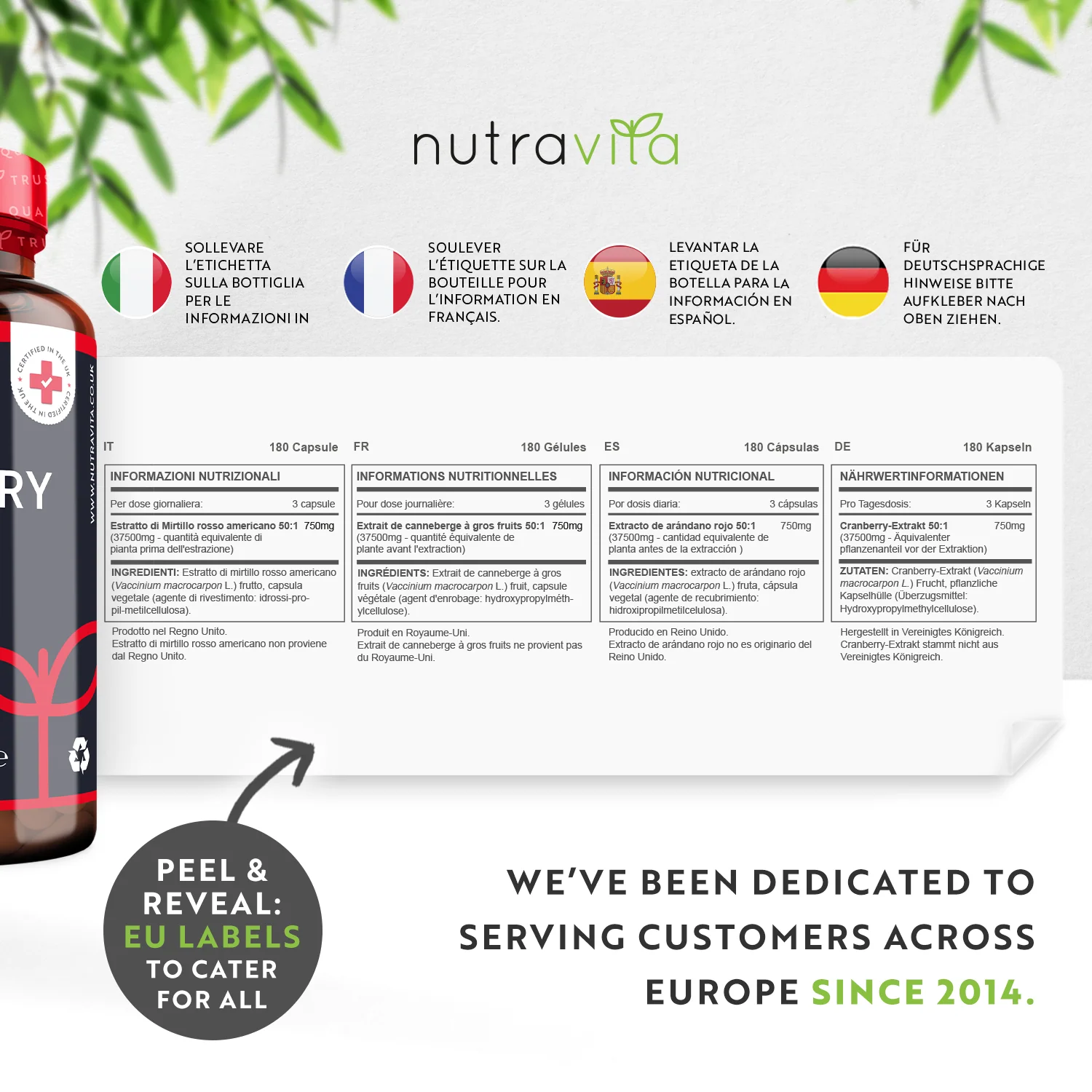 Cranberry 50:1 Extract 37 - Image 6