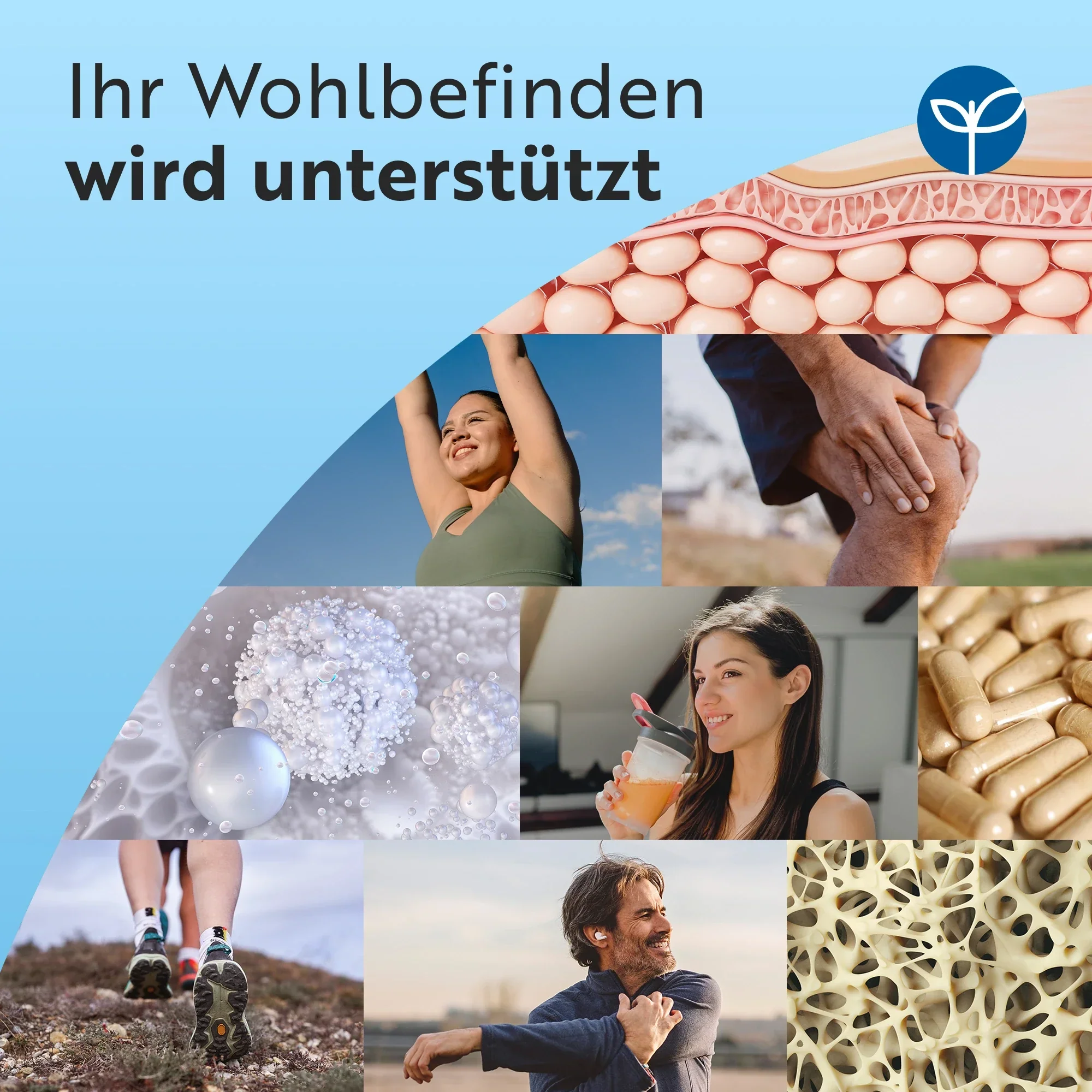 Glucosamine Chondroitin - Image 3