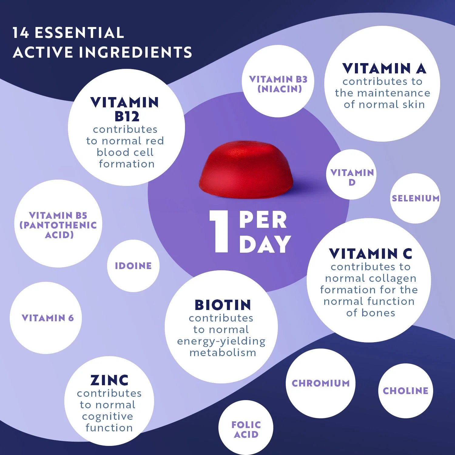 Multivitamin Gummies - 120 Vegan Gummies - Image 6