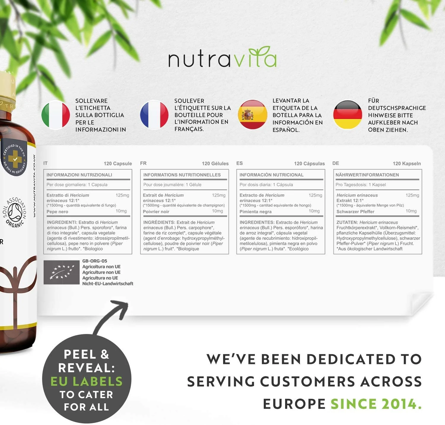 Organic Lions Mane - Image 6