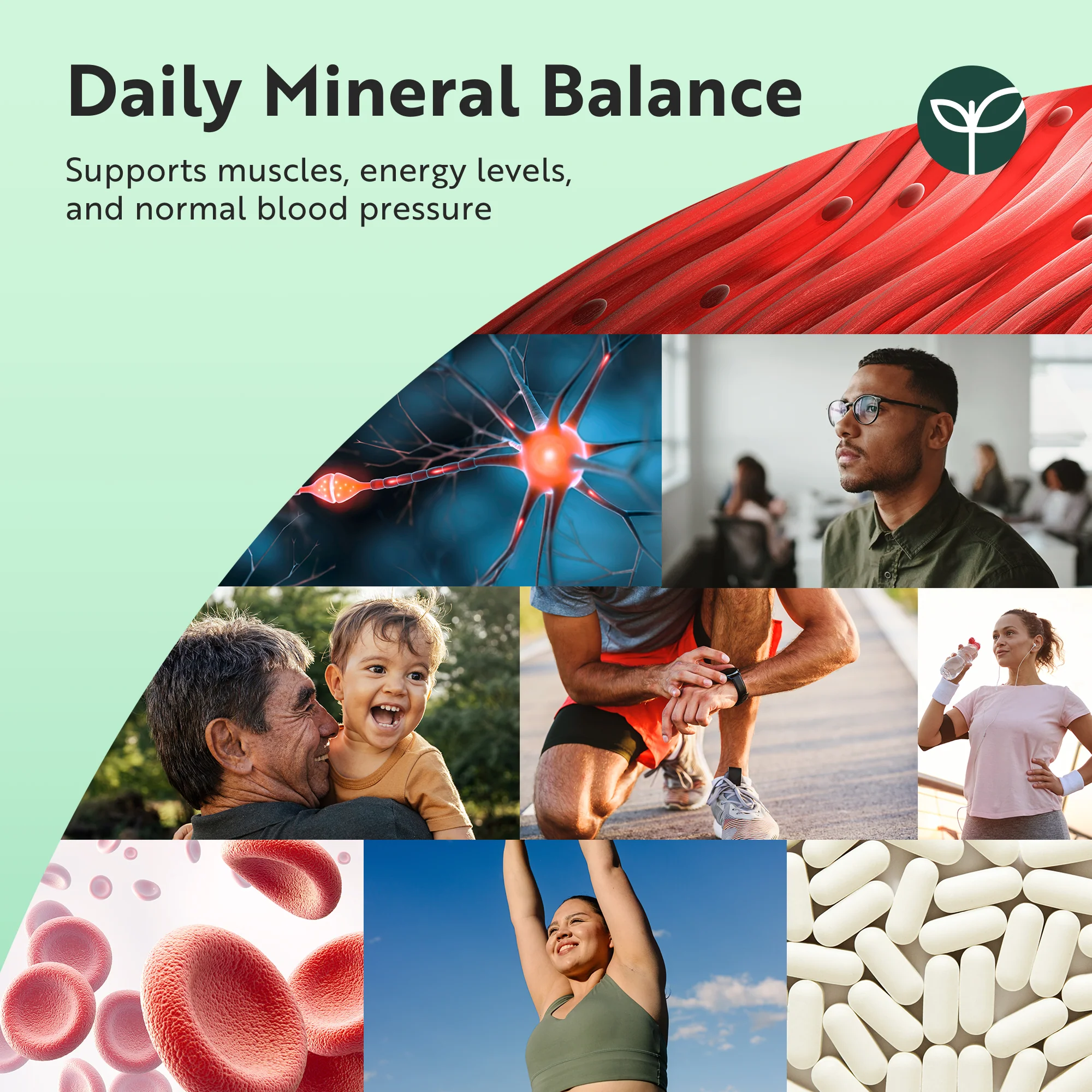 Potassium Citrate with Vitamin C, D & Magnesium - Image 3