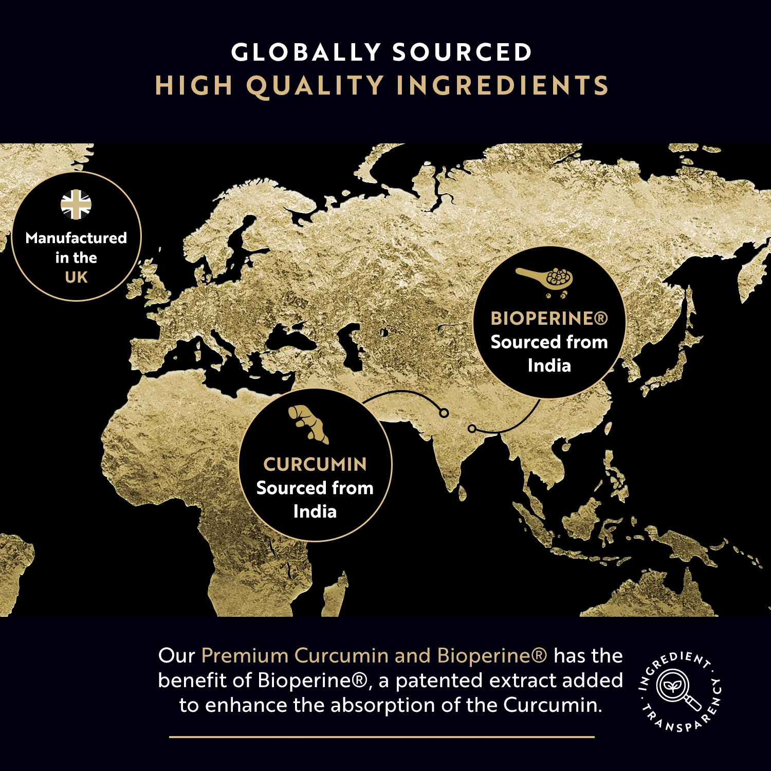 Premium Curcumin 95% Curcuminoids with Bioperine - Image 6