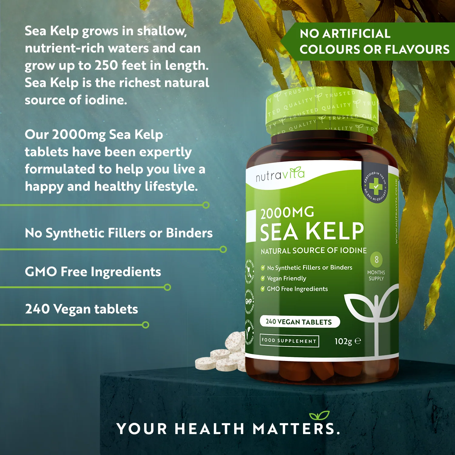 Sea Kelp - Image 3