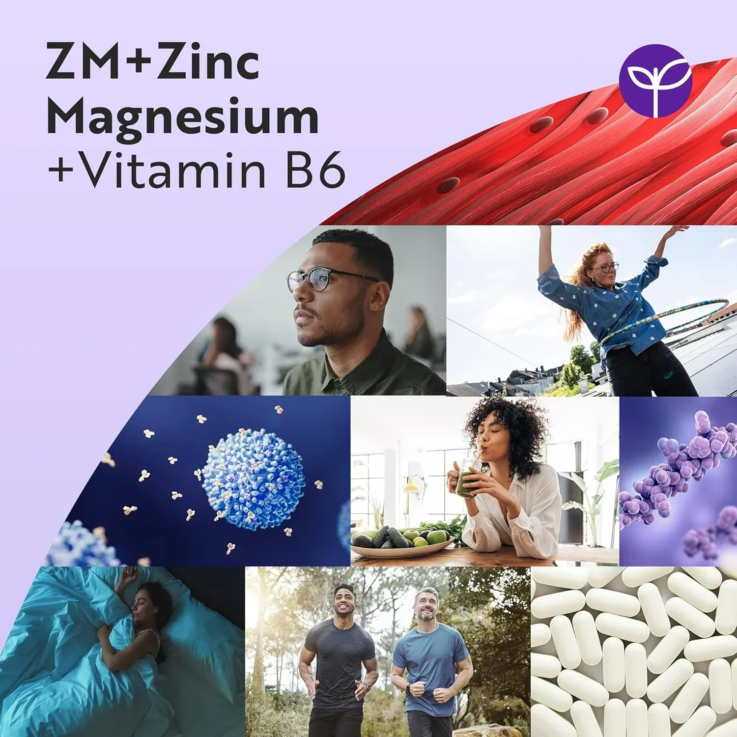 Zinc, Magnesium & Vitamin B6 - Image 5